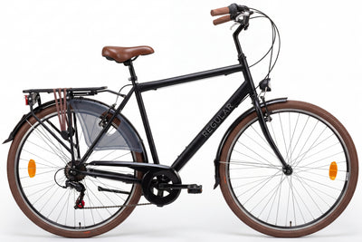 Regular D6 Herenfiets 6 Versnellingen Mat-Zwart