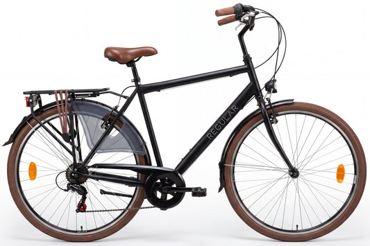 Regular D6 Herenfiets 6 Versnellingen Mat-Zwart